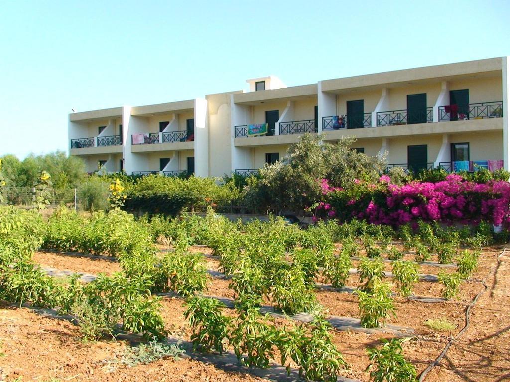 Despo Hotel Kato Gouves Dış mekan fotoğraf