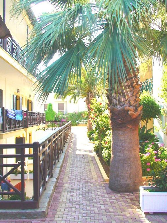 Despo Hotel Kato Gouves Dış mekan fotoğraf
